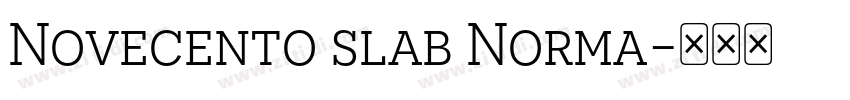 Novecento slab Norma字体转换
